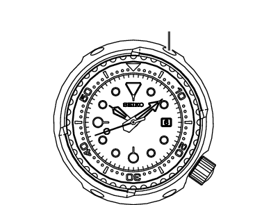 8L35D_Structure of the case-2 + Structure of the case-2